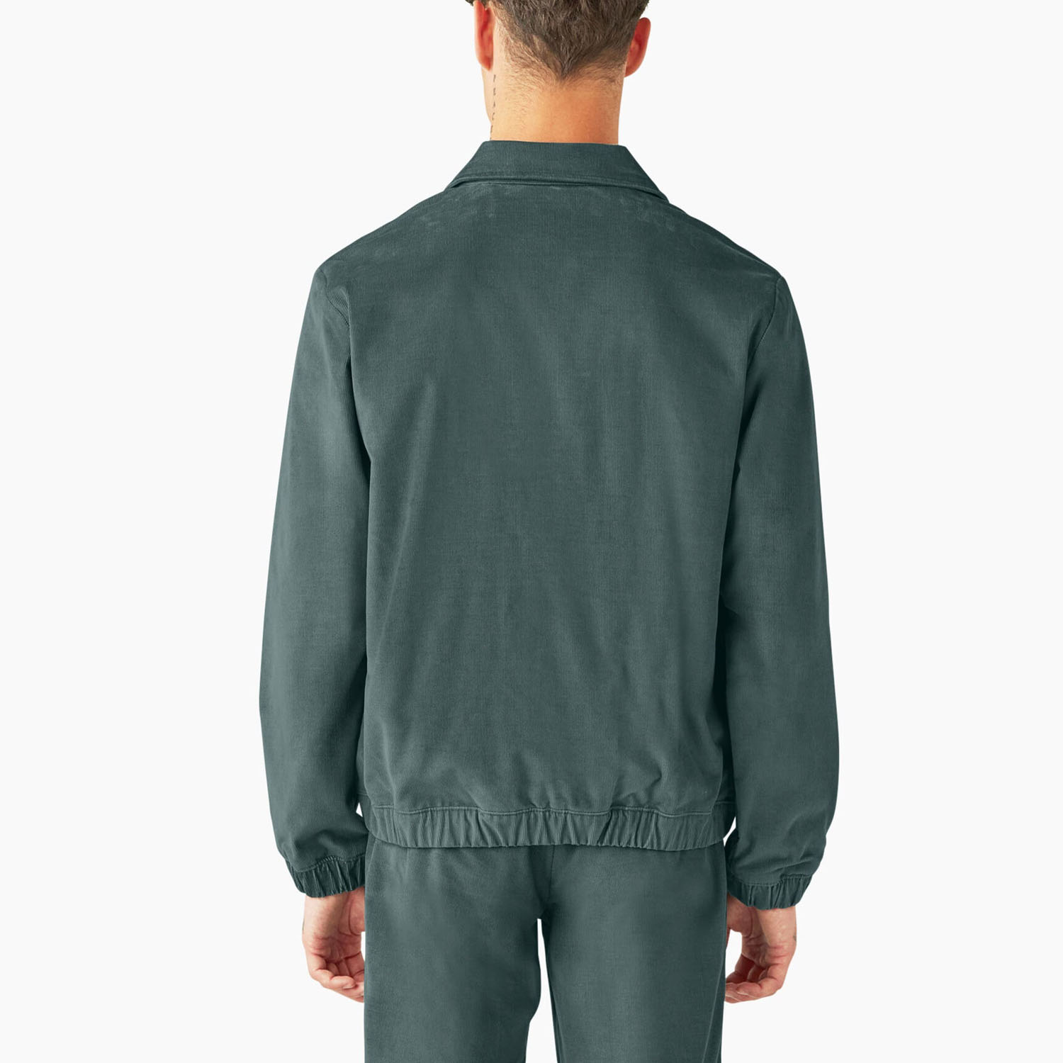 Овершорт Dickies JTR080LN