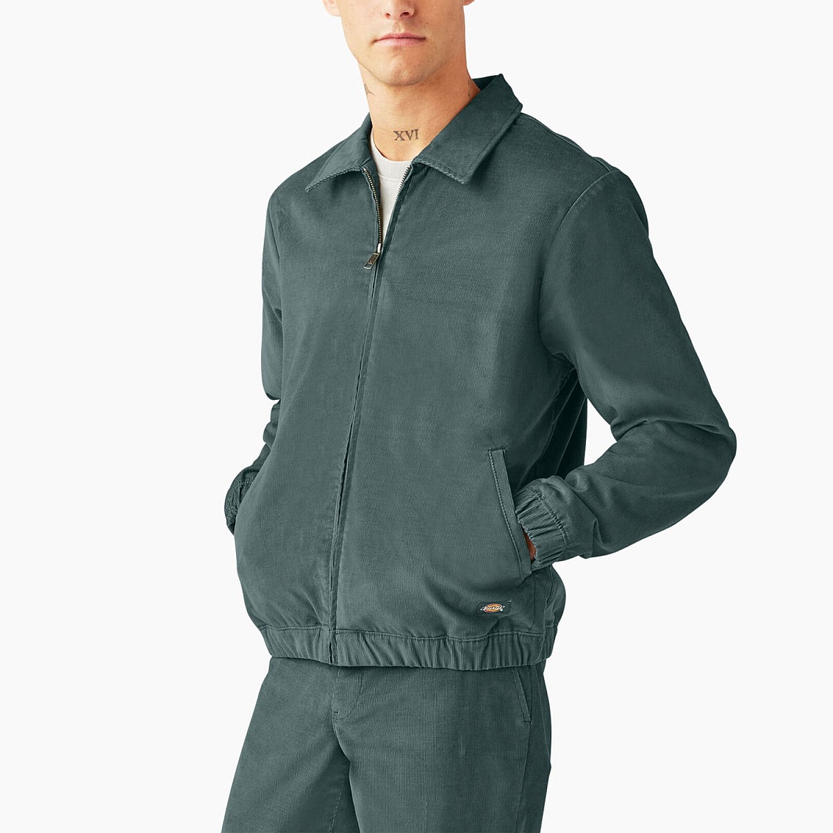 Овершорт Dickies JTR080LN
