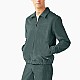 Овершорт Dickies JTR080LN