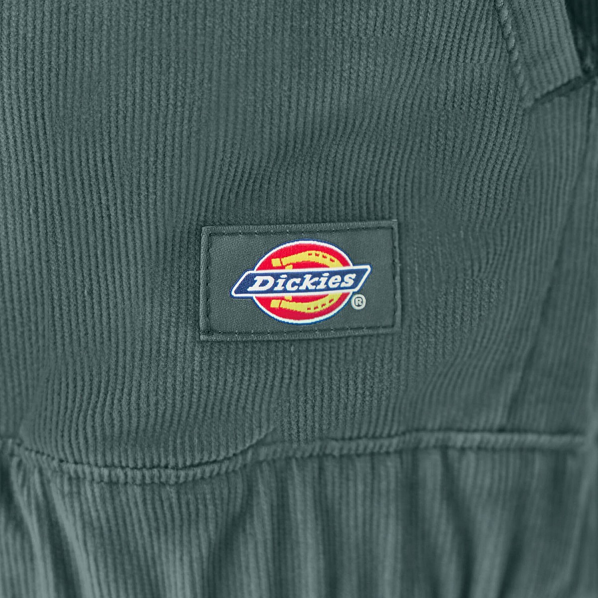 Овершорт Dickies JTR080LN
