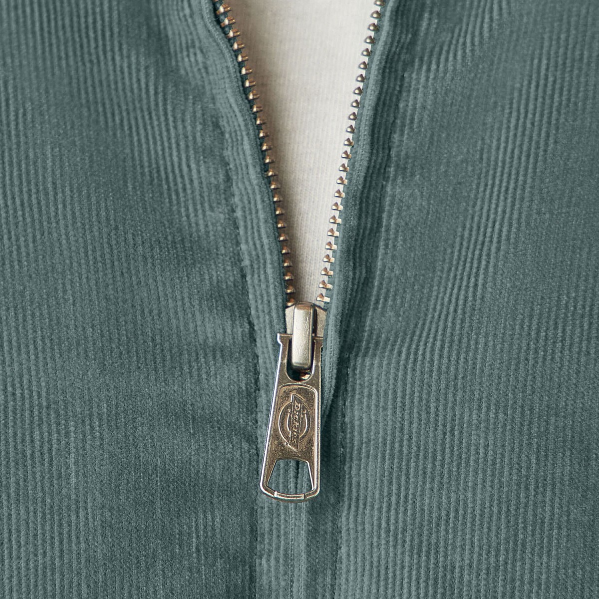 Овершорт Dickies JTR080LN